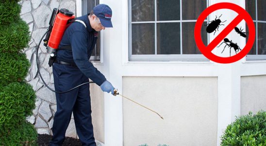 Nizip Bit İlaçlama böcek ilaçlama ve haşere kontrolü — ilaclama-tr.com